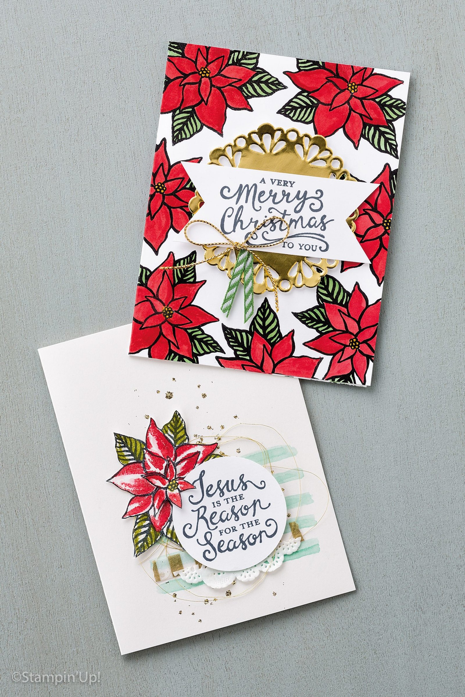 Poinsettia in a Snap!
