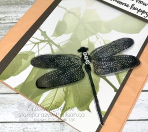 Dragonfly Dreams Stamp Set Detailed Dragonfly Thinlits Dies 2 www.stampcrazywithalison.ca Dragonfly Dreams Stamp Set Detailed Dragonfly Thinlits Dies 2 www.stampcrazywithalison.ca