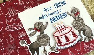 Just in Case Birthday Memories 1 www.stampcrazywithalison.ca