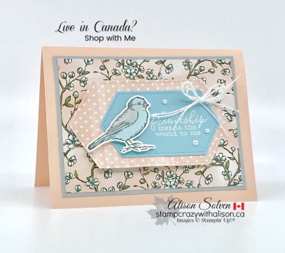 Just in Case Free as a Bird Bundle www.stampcrazywithalison.ca-3