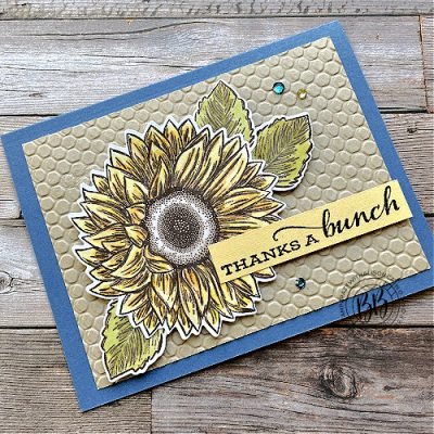 Celebrate Sunflowers Bundle
