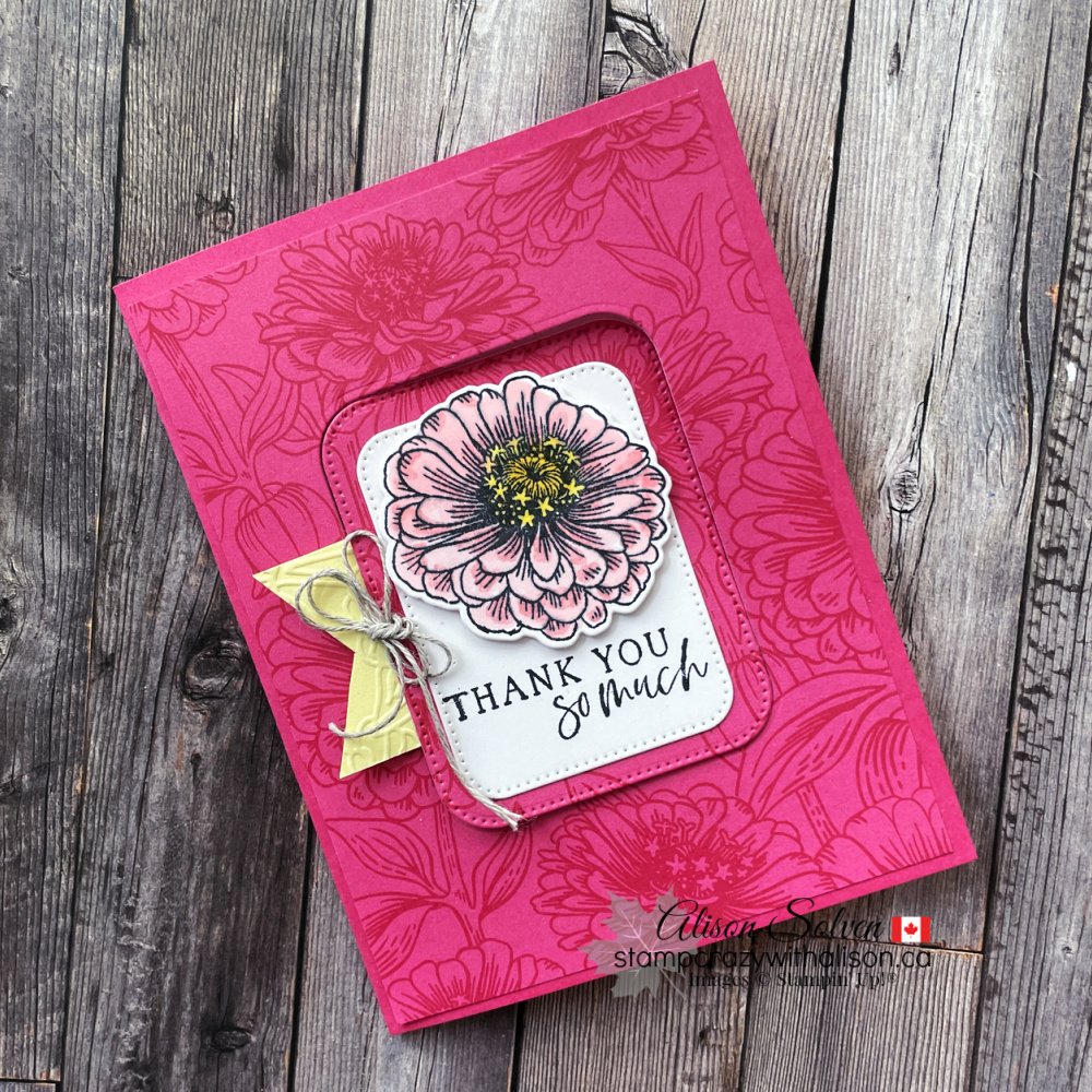 Flowering Zinnia Suite Collection