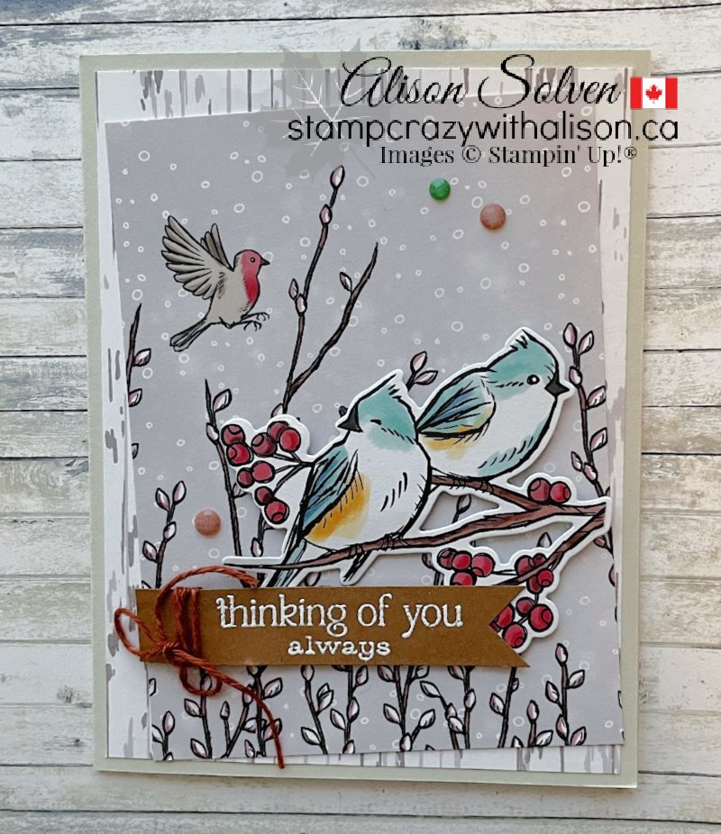 Nests of Winter Suite Collection from Stampin' Up!®