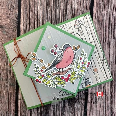 Fun Fold Slider with Nests of Winter