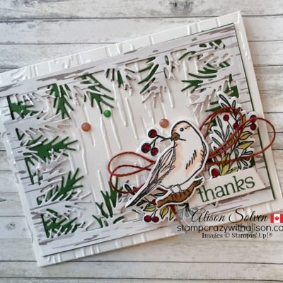 Nests of Winter Suite Collection