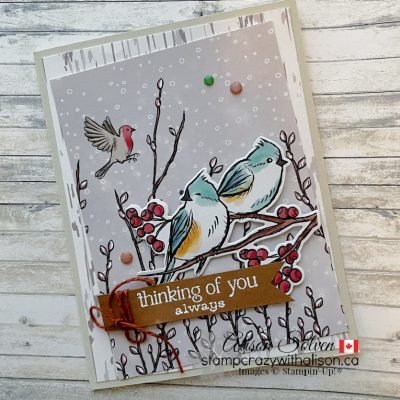 Nests of Winter Suite Collection