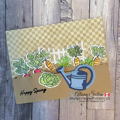 Storybook Moments Suite Collection