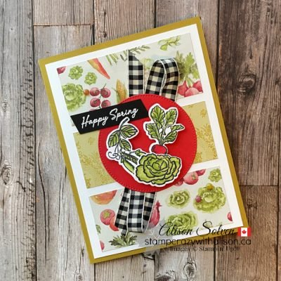 Storybook Moments Suite Collection
