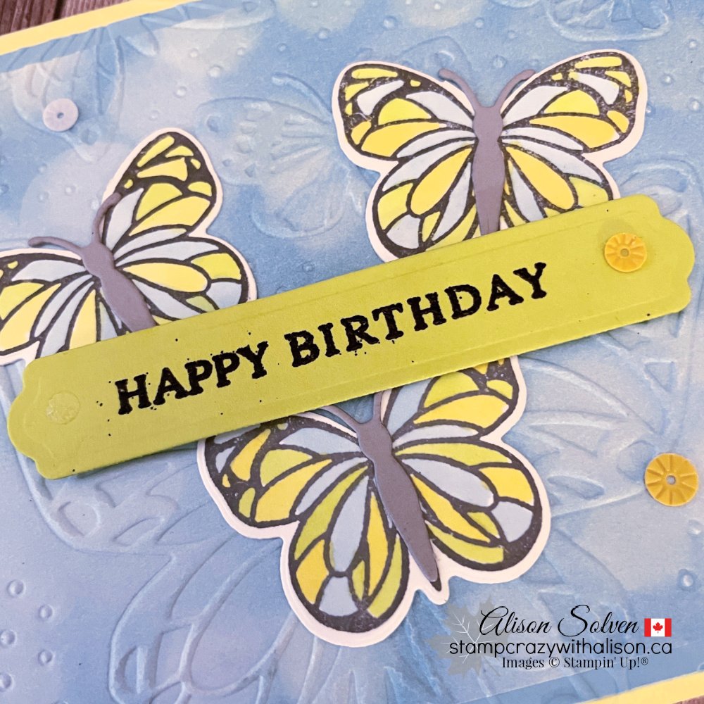 Beautiful Bokeh Suite Collection from Stampin' Up!®