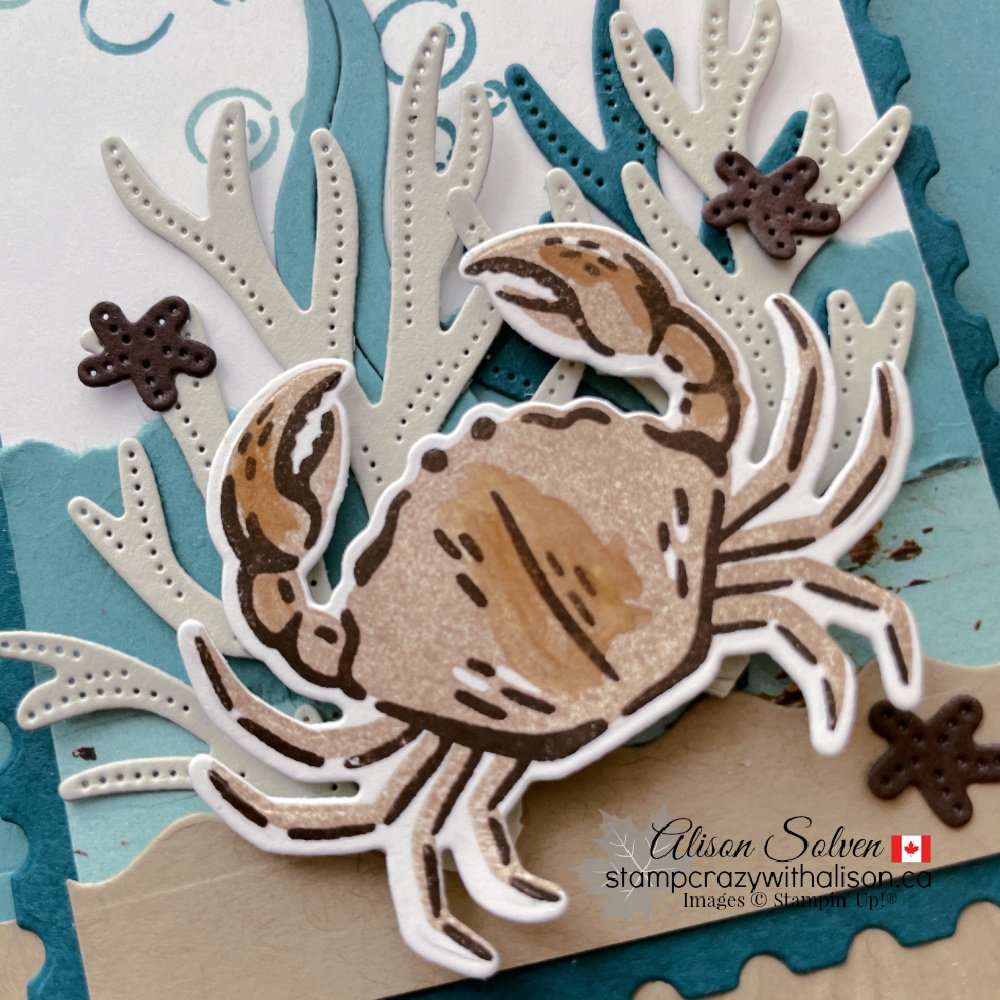 Friends of the Ocean Suite Collection from Stampin' Up!®