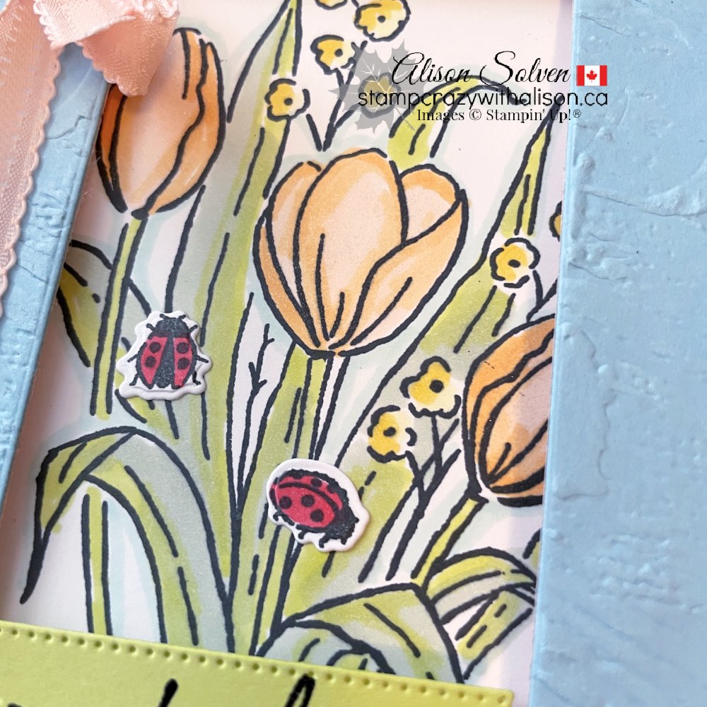 Mixed Media Florals Suite Collection from Stampin' Up!®