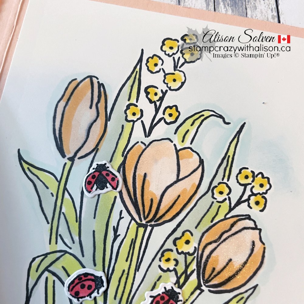 Alison Solven Mixed Media Florals Suite LIVE