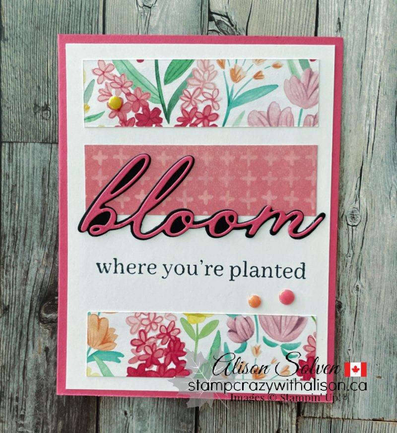 Florals in Bloom Suite Collection from Stampin' Up!®