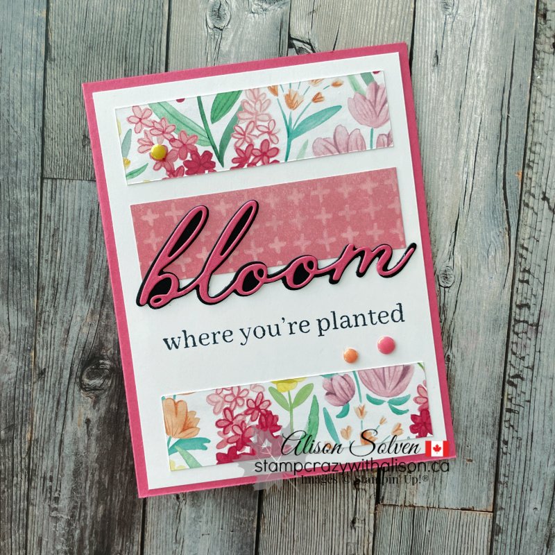 Florals in Bloom Suite Collection from Stampin' Up!®