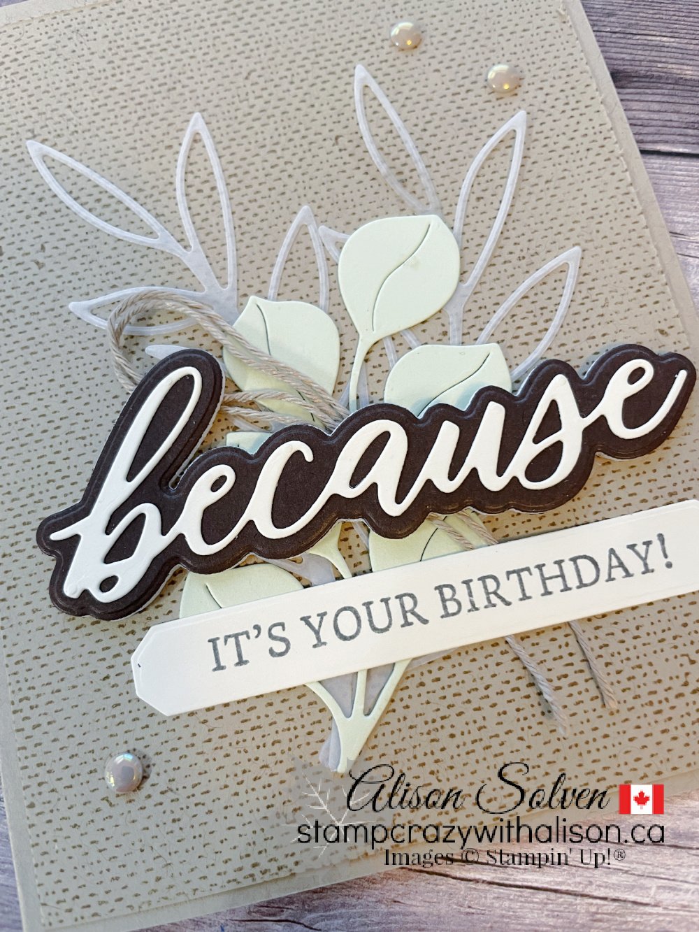 Brushed with Beauty Suite Collection from Stampin' Up!®